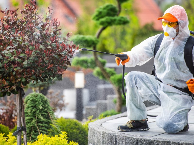 Avcılar Haşere İlaçlama