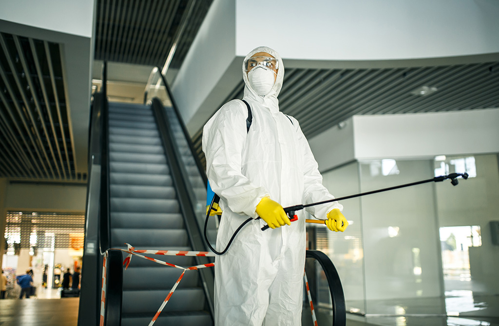 Avcılar Haşere İlaçlama